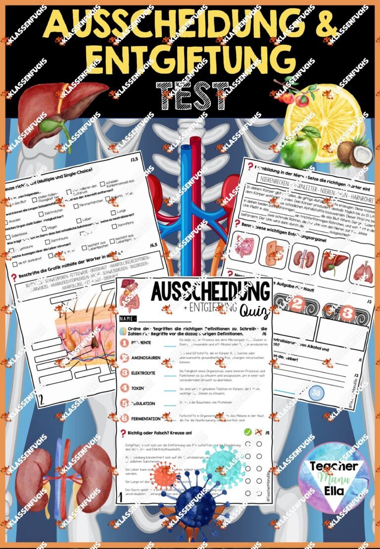 Ausscheidung und Entgiftung Test | Quiz & Arbeitsblätter – Differenzierte Herangehensweise